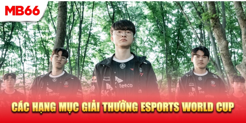 Các hạng mục giải thưởng của World Cup Esports 2024